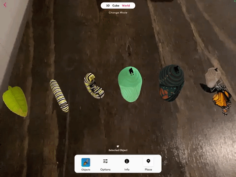 butteryflycycle.gif