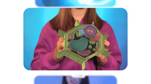 gif (39).gif