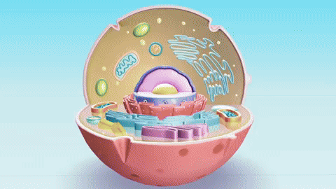 gif (83).gif